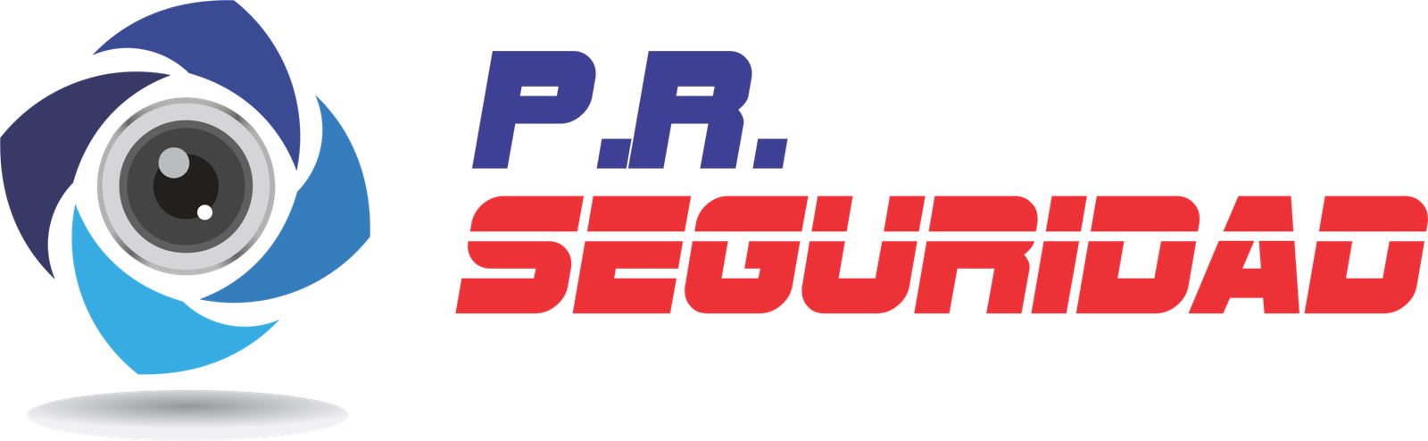 PR SEGURIDAD